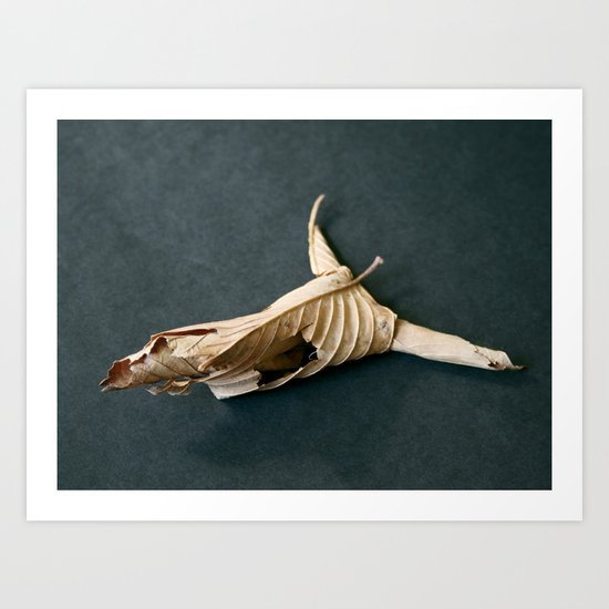 135. Leaf Skull Art Print