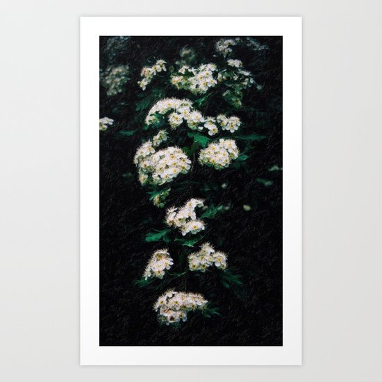abstract almond flowers Art Print