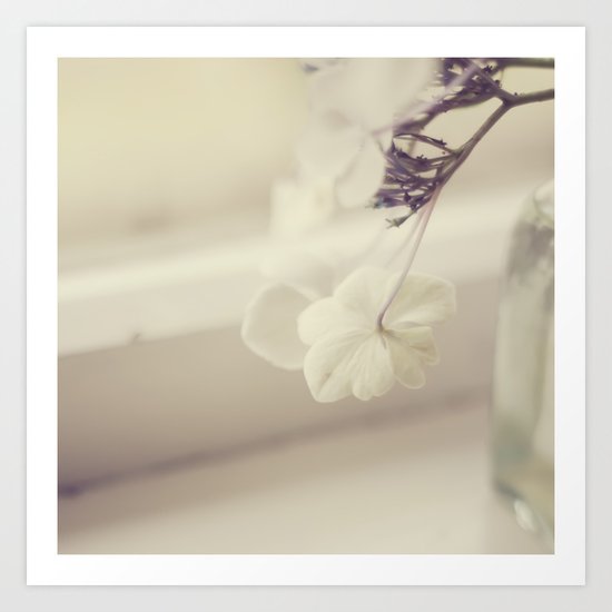 Delicate Art Print