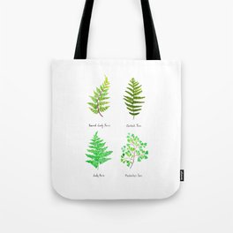 fern collection watercolor Tote Bag