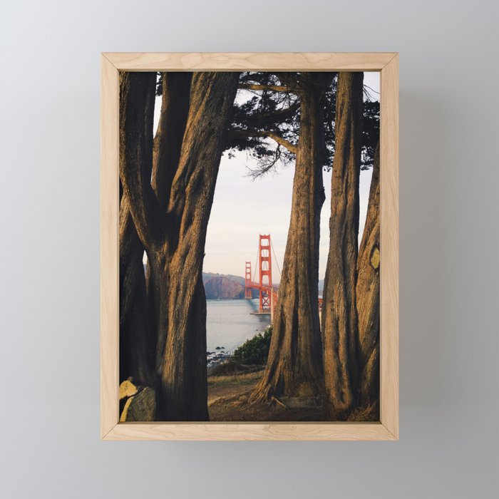 Gold through the Trees Framed Mini Art Print