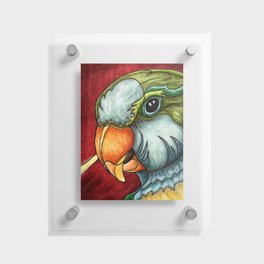 Bright quaker parrot portrait, cute monk parakeet painting Floating Acrylic Print