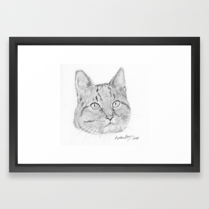 Cat Face Realistic Pencil Sketch Drawing Framed Art Print By