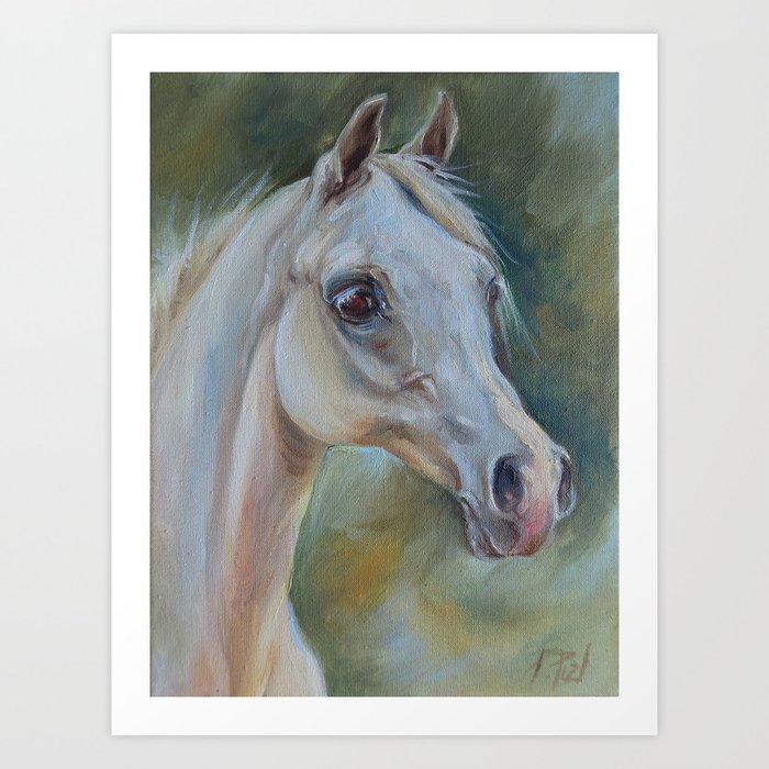 Gray Arabian Horse Portrait Arab Horse Head Oil Painting Art Print