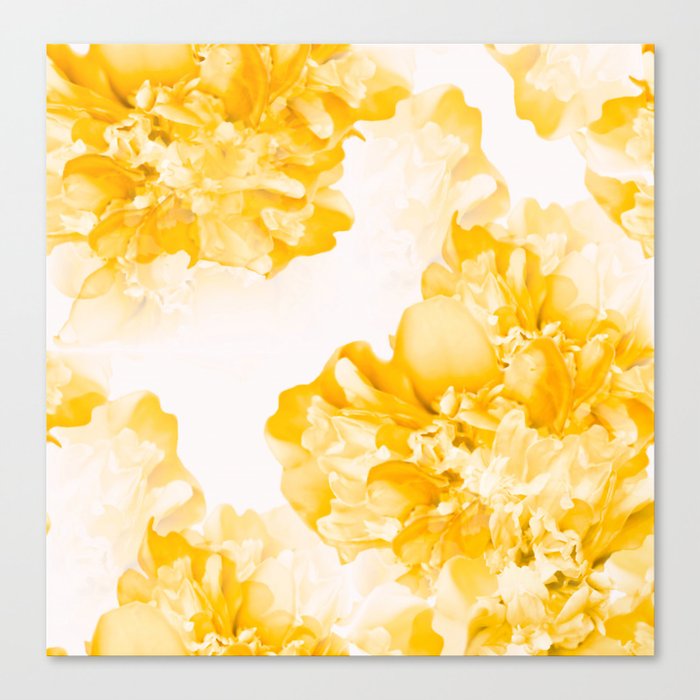 Beautiful Peony Flowers White Background Decor Society6 Buyart Canvas Print By Pivivikstrm Society6 Instant digital download image is approximately 5060 x 3300 pixels in size single, vertical image… beautiful peony flowers white background decor society6 buyart canvas print by pivivikstrm