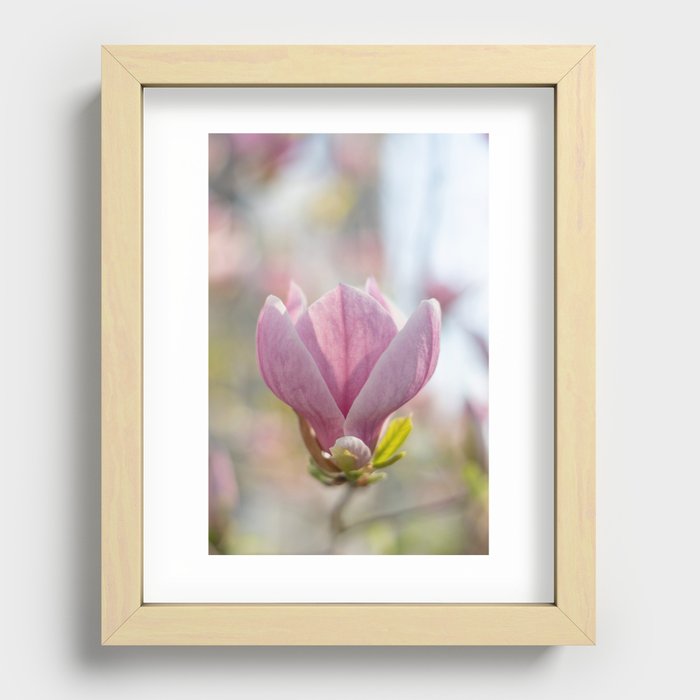 Spring is here Recessed Framed Print