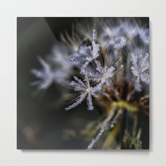 frosted stars Metal Print