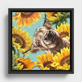 Highland Cow with Sunflowers in Blue Framed Canvas