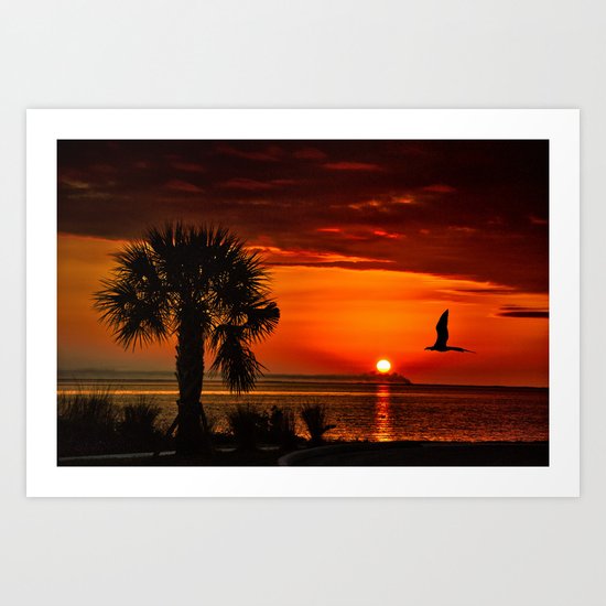 Take me to the sun Art Print