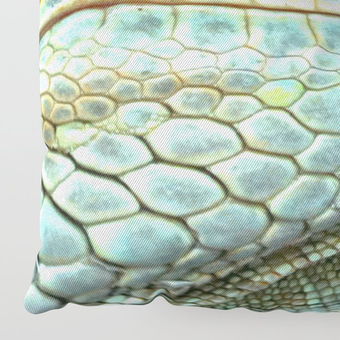 reptile pillow