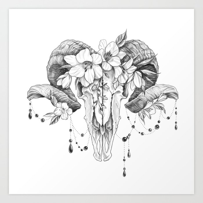 ram skull drawing