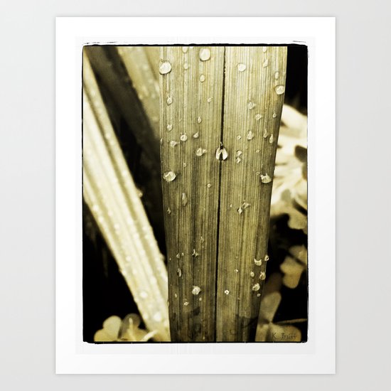 Fresh Wet Art Print