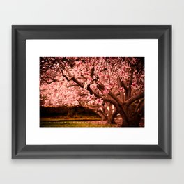 Printemps Framed Art Print