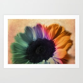 my sunflower Art Print