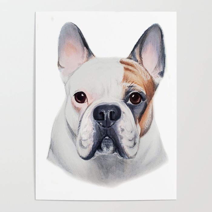 French Bull Dog  Poster