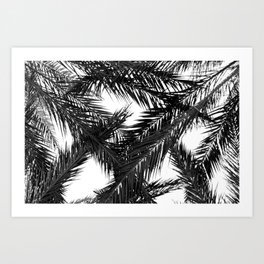 Palm Trees #148 Art Print