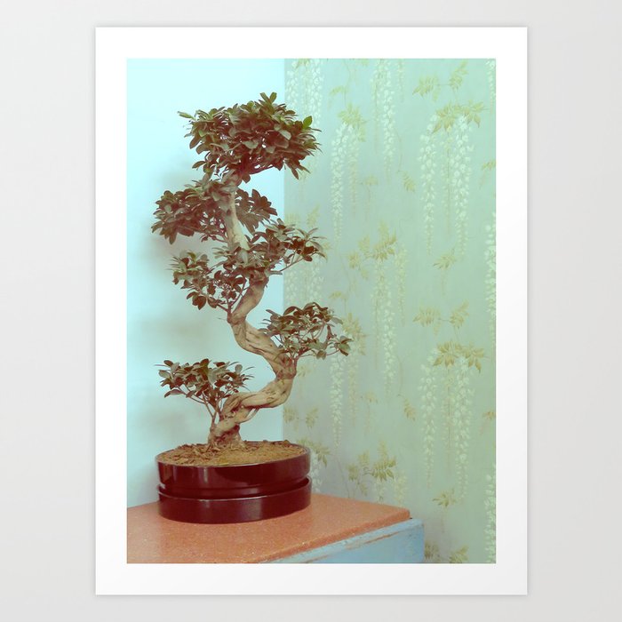 relaxed bonsai Art Print