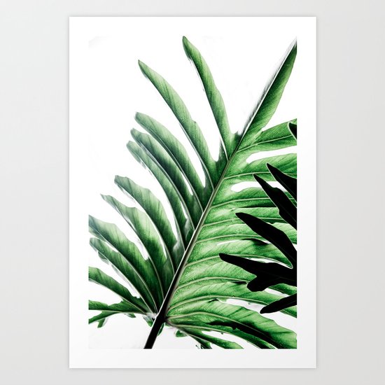 Leaves 2 Art Print