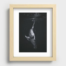Humpback Whale White Charcoal Pencil  Recessed Framed Print