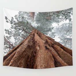 California Redwood Wall Tapestry | Woods, Woodley, Hdr, Palmsprings, Naturephotography, California, Travel, Closeupphotography, Landscapes, Redwood 