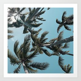 Perfect Sky Palms Art Print | Perfect, Leafage, Perfectsummer, Leaves, Garden, Foliage, Tealsky, Photo, Palmtree, Tree 