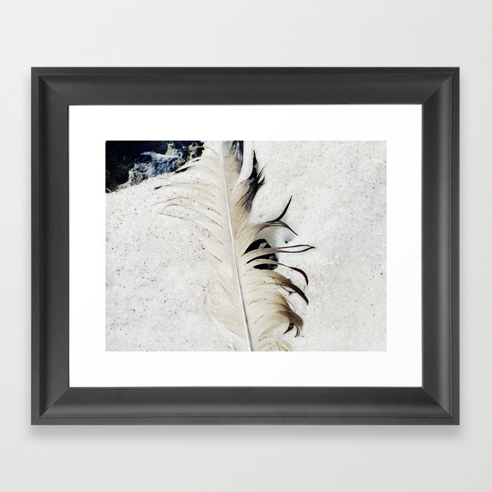 Feather in snow Framed Art Print