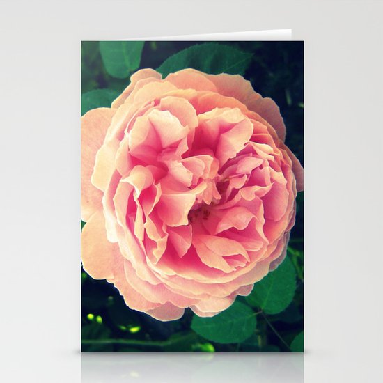 Rose Stationery Cards