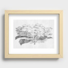 Distressed Hydrangea {grey ~ white} Recessed Framed Print