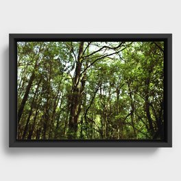 TREES Framed Canvas