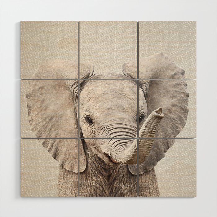 Baby Elephant Colorful3320771 Wood Wall Art