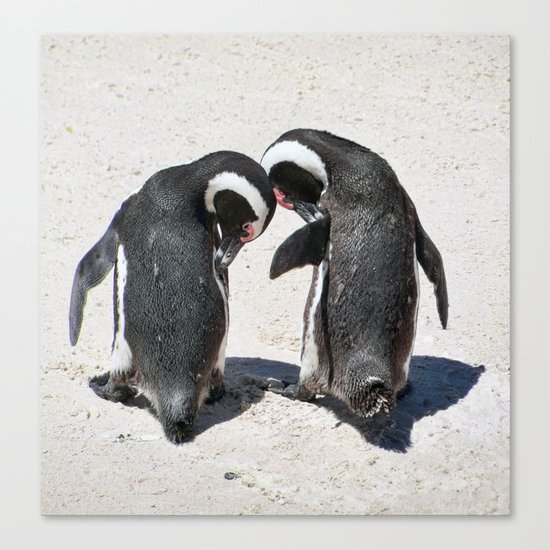Penguins of Boulder Beach Canvas Print
