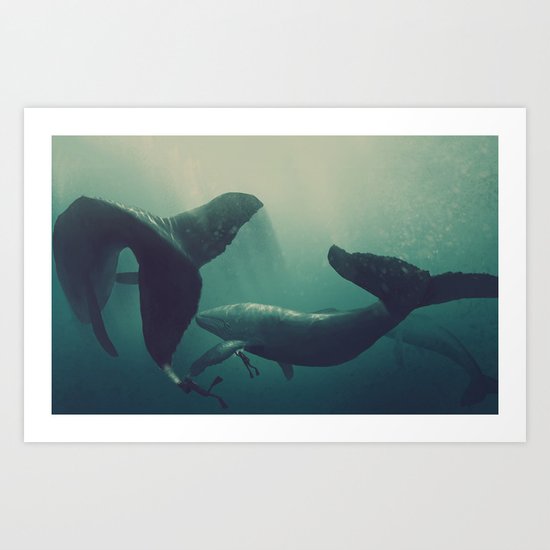 Swimming with whales Art Print