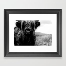 Scottish Highland Cattle - Black and White Animal Photography Framed Art Print