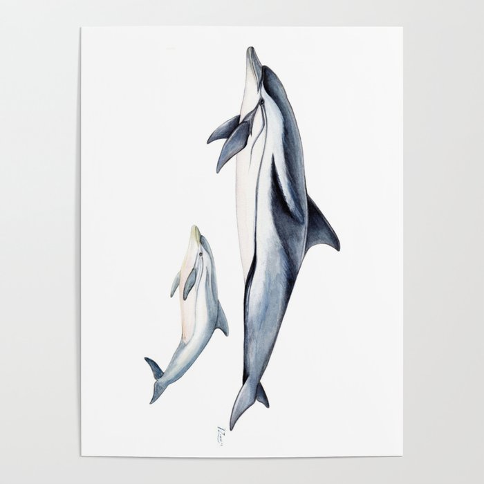 Striped dolphin Poster