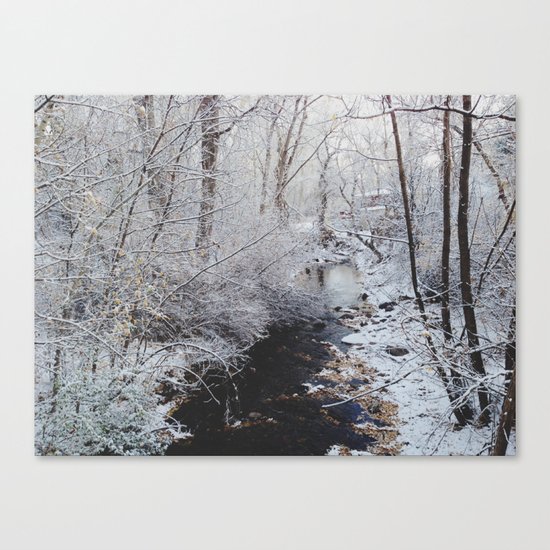 Winter Creek Canvas Print