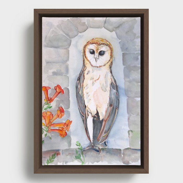 Observer Owl Framed Canvas
