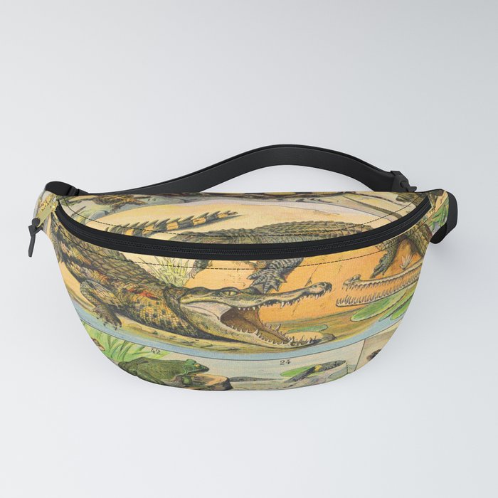 Alligator fanny pack shop