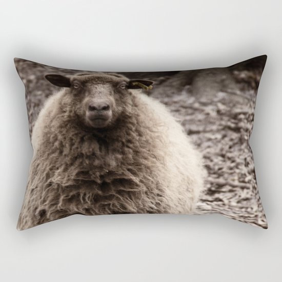 Sheep Stare Rectangular Pillow