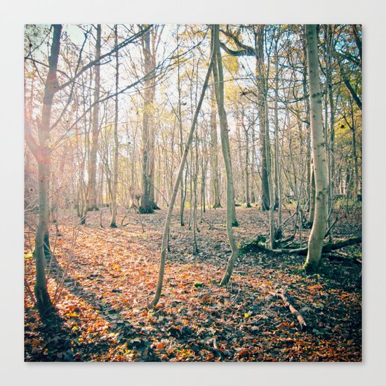The Forest Canvas Print