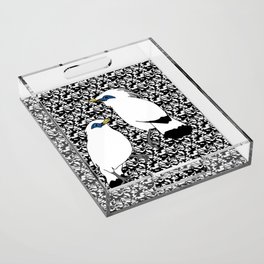 jalak bali, exotic songbird Acrylic Tray