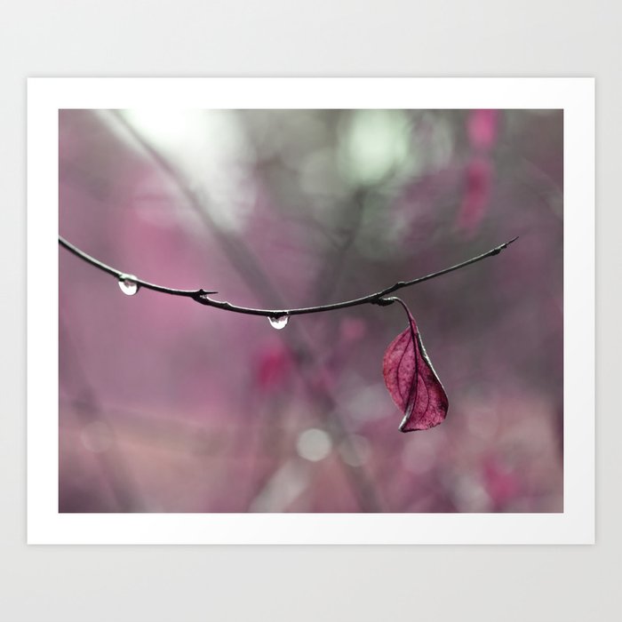 Raspberry Pink Leaf and Raindrops Art Print