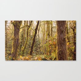 Deep in a Temperate Rainforest  Canvas Print