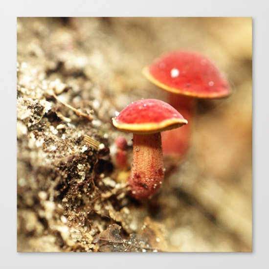 Red Light Special Canvas Print