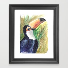 Toucan Watercolor Hand Painted  Framed Art Print