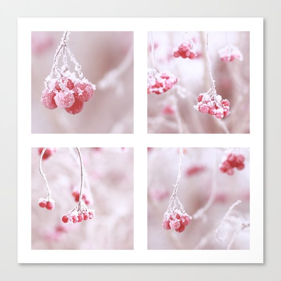 Red Berries Quadro Canvas Print