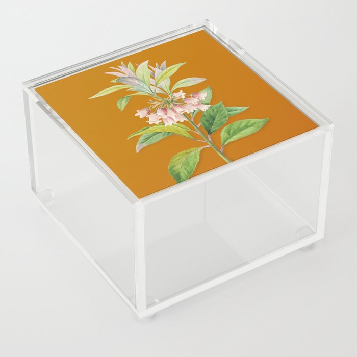 Vintage Chinese New Year Flower Botanical Illustration on Sunset Orange Acrylic Box
