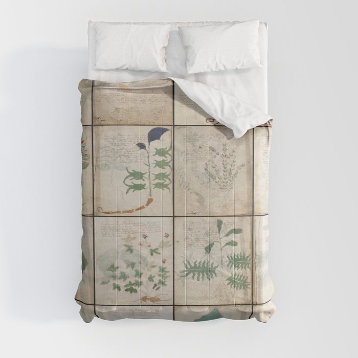 The Voynich Manuscript Quire 1 - Natural Comforter