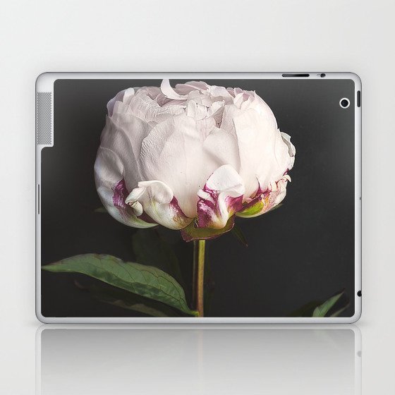 Peony - simply perfect Laptop & iPad Skin