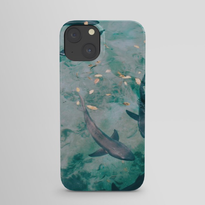 Shoal of Sharks (Color) iPhone Case