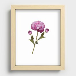 Colorful Peony Recessed Framed Print